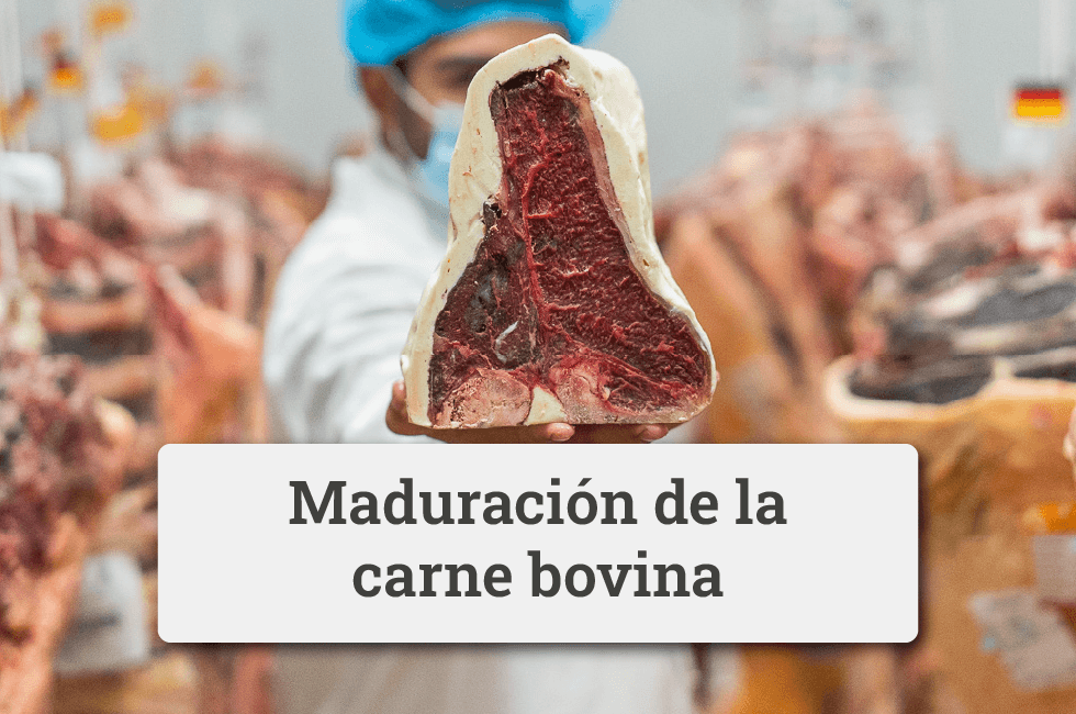 MADURACIÓN DE LA CARNE DE VACUNO - Clave Para Su Sabor Y Terneza - Almakila